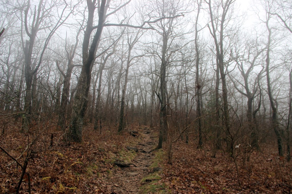 Creepy Georgia hikes, by travel blogger Wandering the Gap