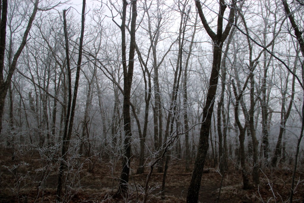 Creepy Georgia hikes, by travel blogger Wandering the Gap