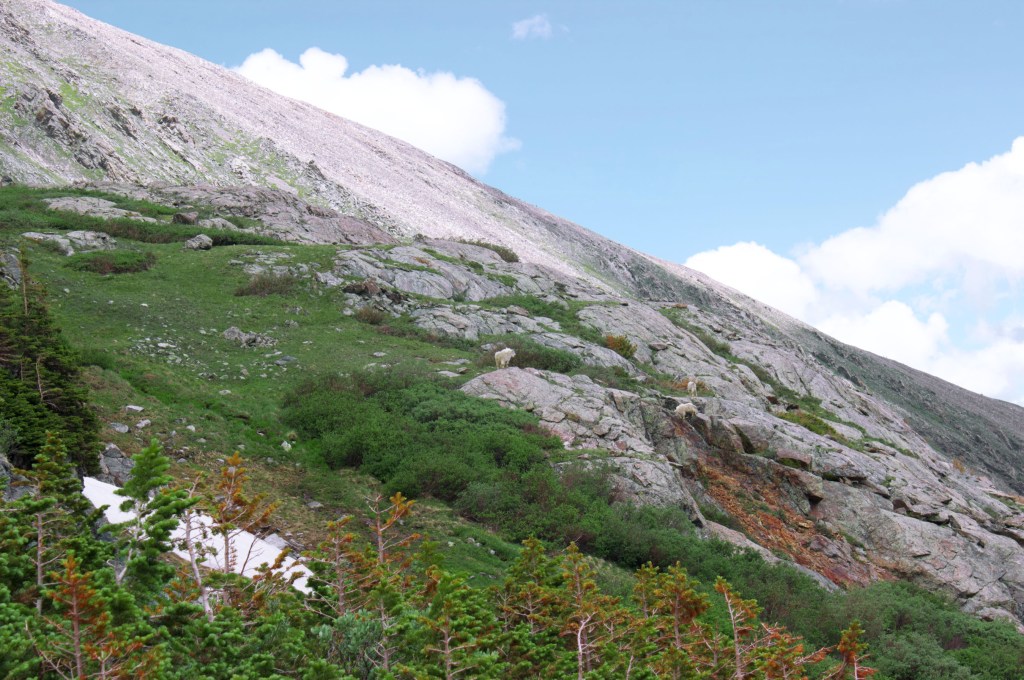 Best Colorado hikes and ultimate Colorado hiking guide, by travel blogger Wandering the Gap