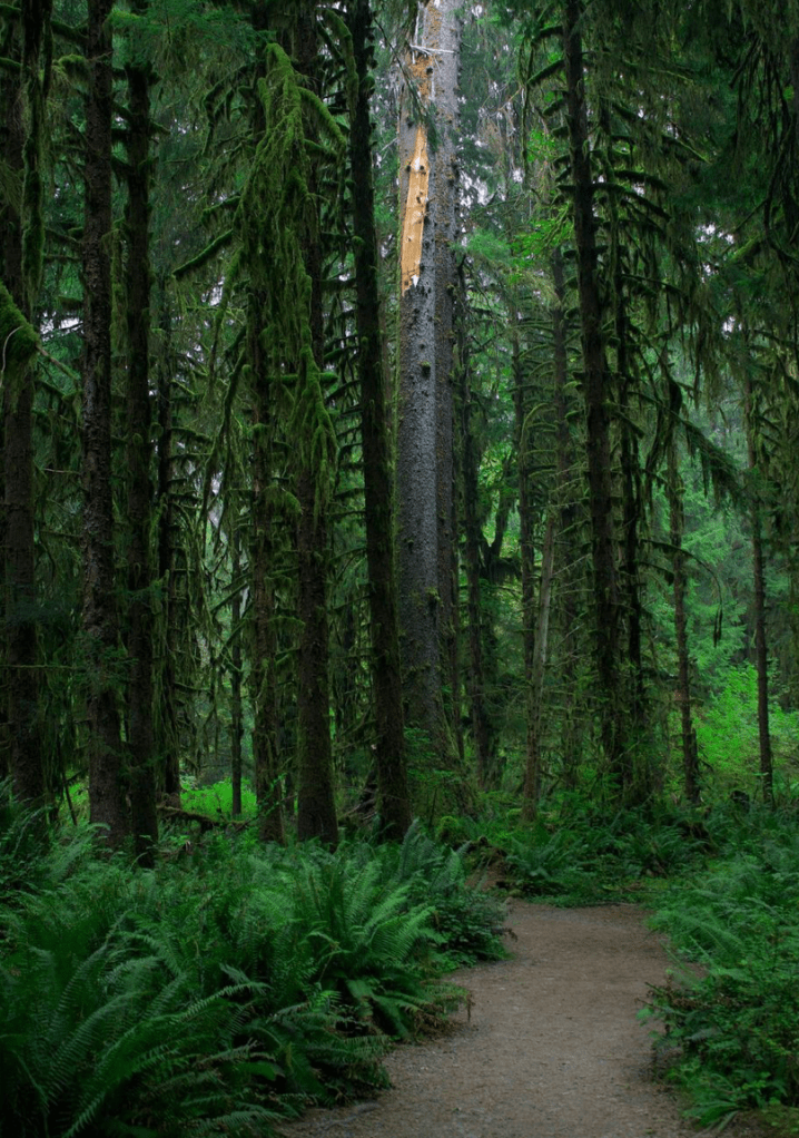 Best national parks, by travel blogger Wandering the Gap