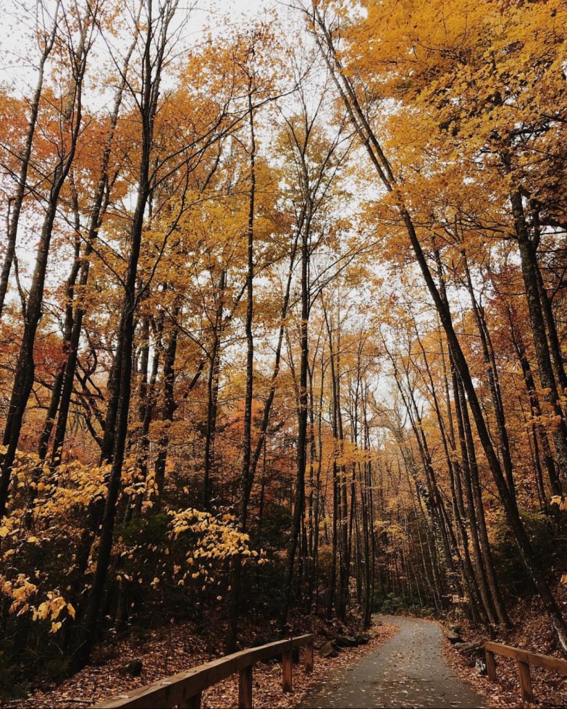 Creepy Georgia hikes, by travel blogger Wandering the Gap