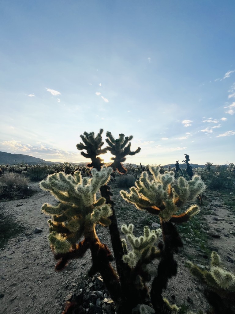 Best national parks, by travel blogger Wandering the Gap