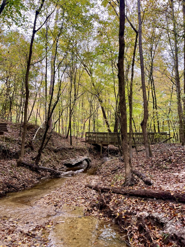 Little Creek Loop Trail in Raven Rock State Park, by travel blogger Wandering the Gap