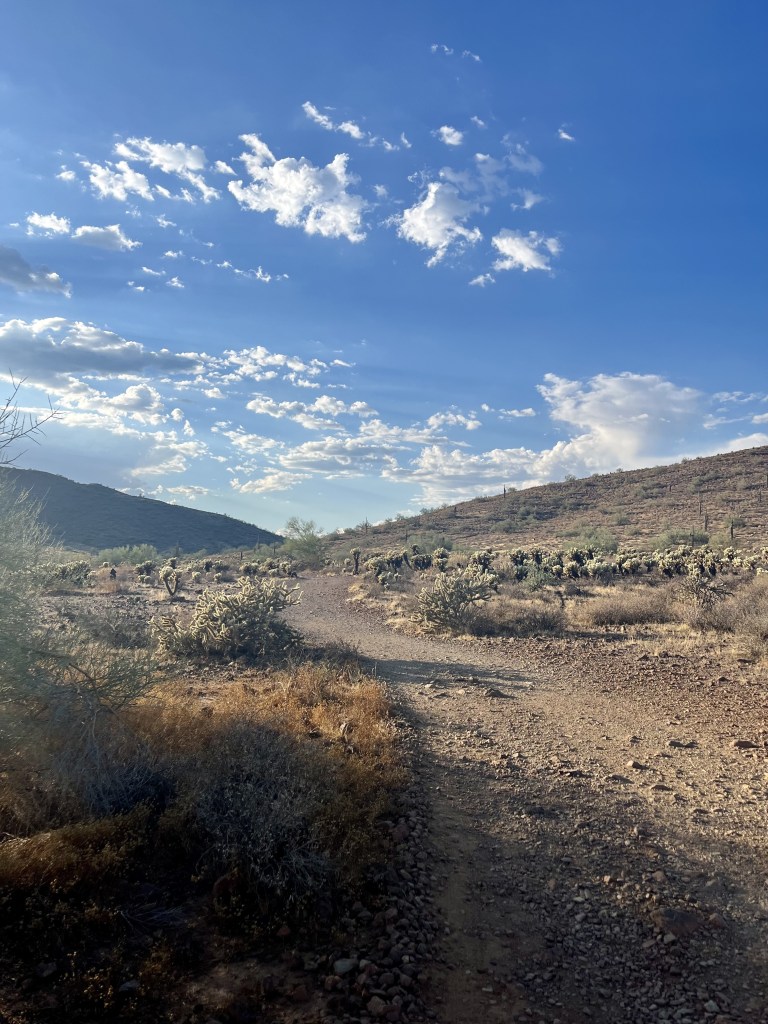 Phoenix to Joshua Tree road trip, by travel blogger Wandering the Gap