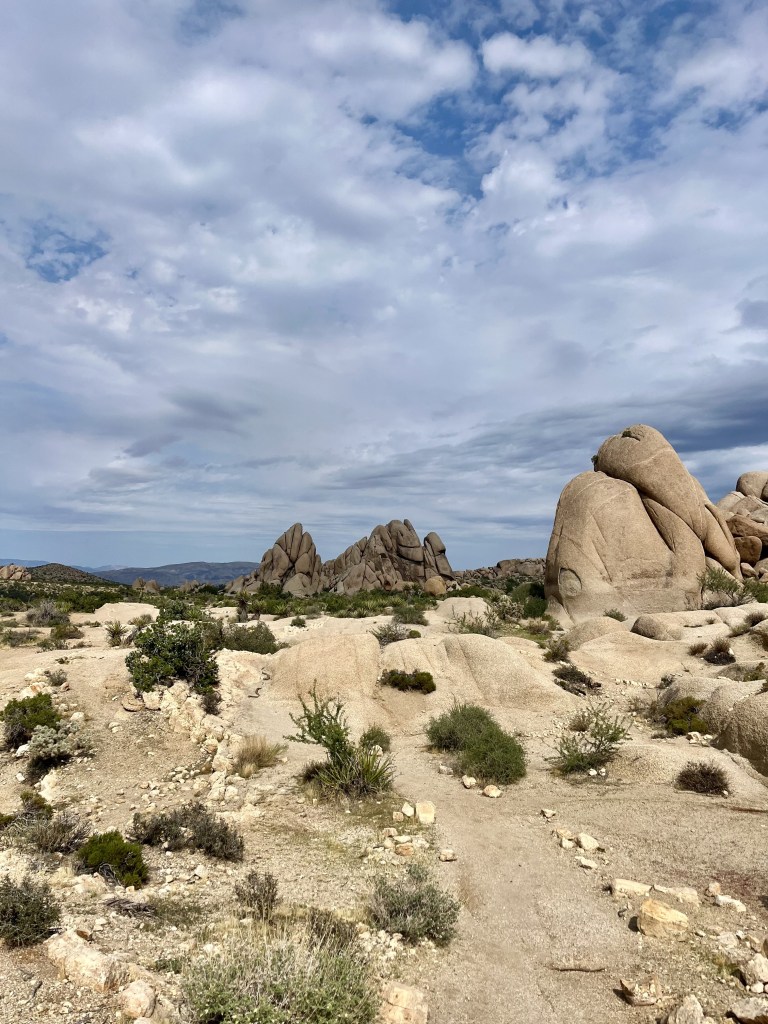 Phoenix to Joshua Tree road trip, by travel blogger Wandering the Gap