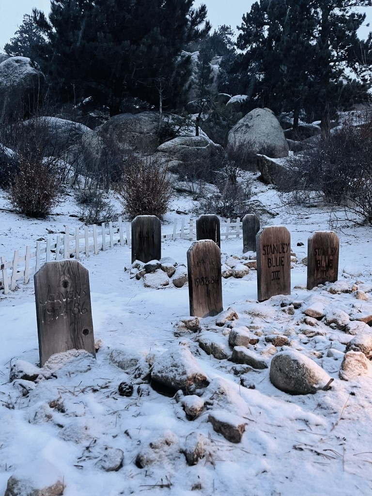 2024 highlights, by lifestyle blogger Wandering the Gap