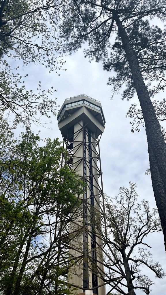 2024 highlights, by lifestyle blogger Wandering the Gap