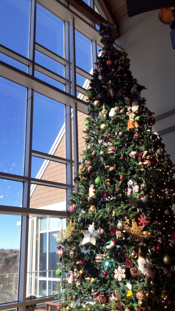 Festive holiday getaways, by travel blogger Wandering the Gap