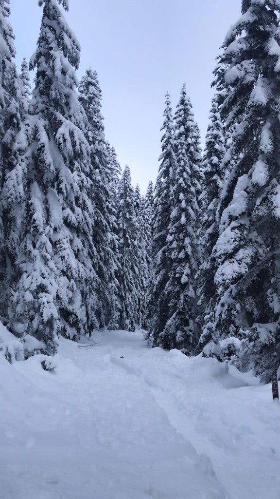 Festive holiday getaways, by travel blogger Wandering the Gap