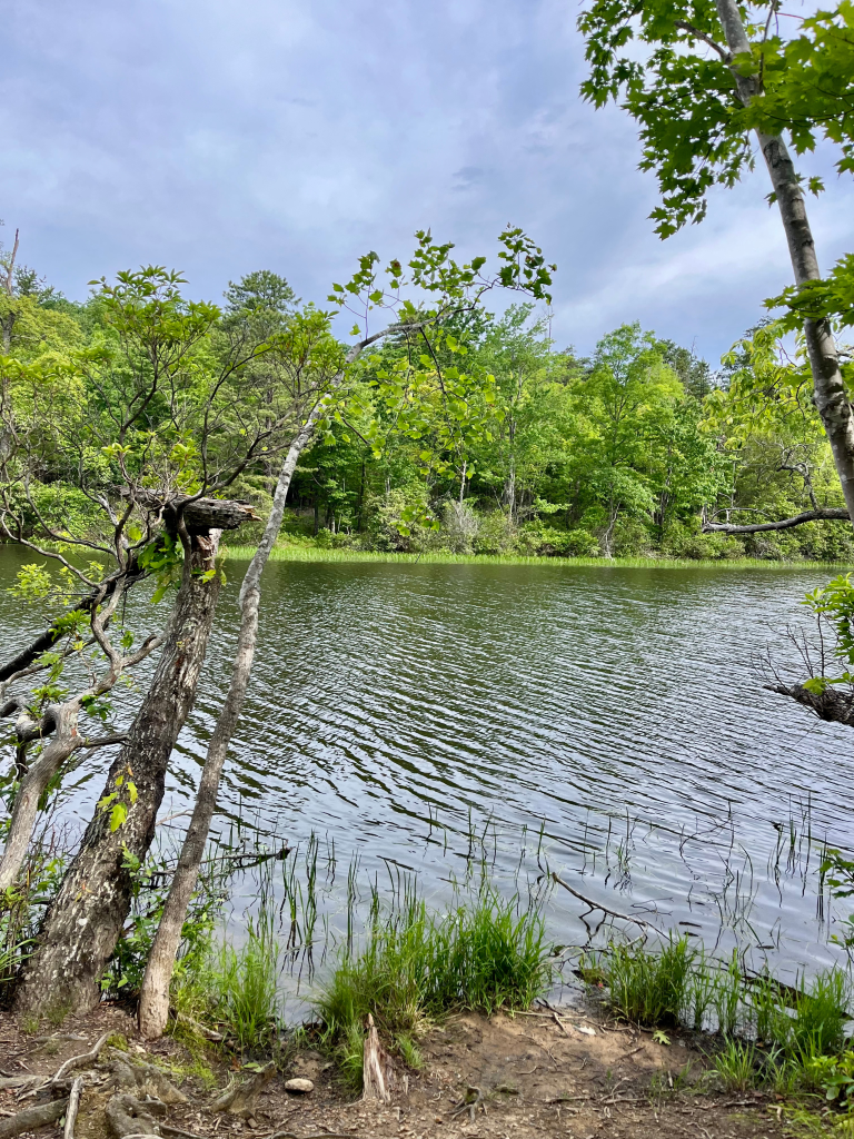 Moore's Wall Loop Trail + Kuhl hiking pants review, by travel blogger Wandering the Gap