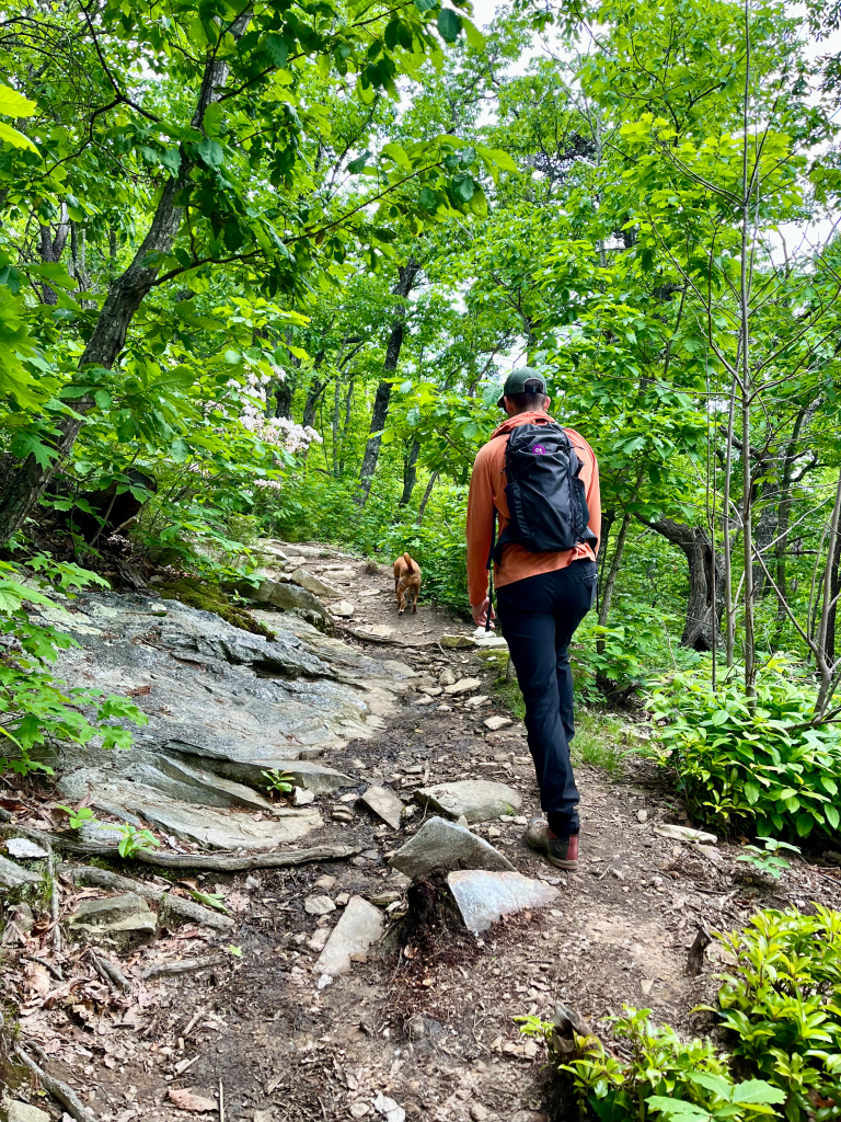 Moore's Wall Loop Trail + Kuhl hiking pants review, by travel blogger Wandering the Gap