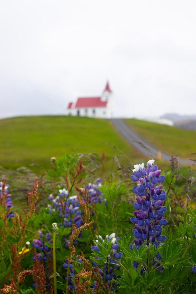 Snæfellsnes Peninsula things to do, by travel blogger Wandering the Gap