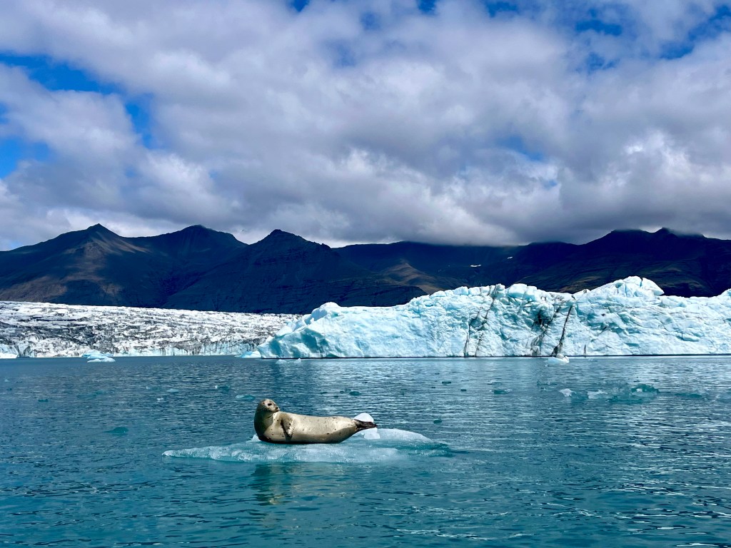 South Iceland itinerary, by travel blogger What The Fab