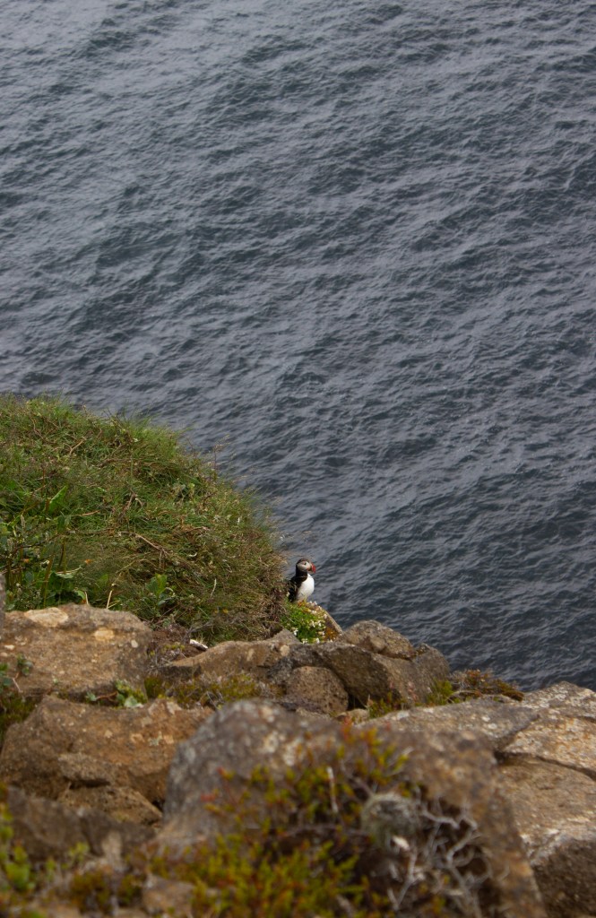 Iceland itinerary, by travel blogger Wandering the Gap