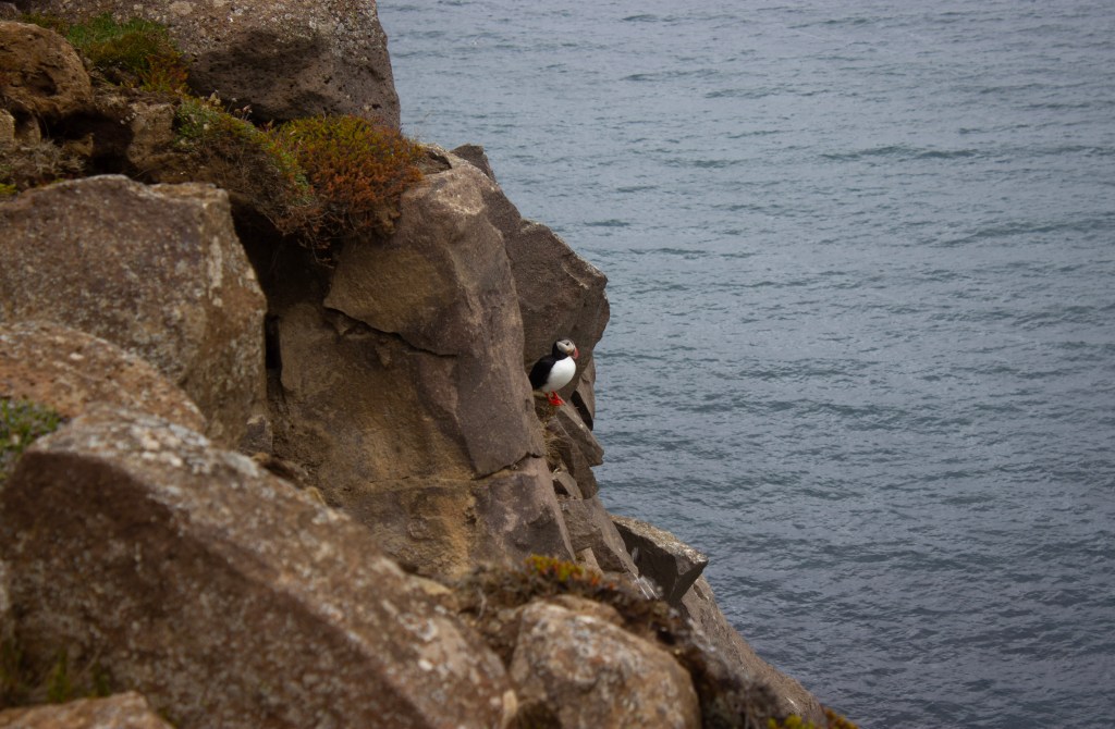 Iceland itinerary, by travel blogger Wandering the Gap