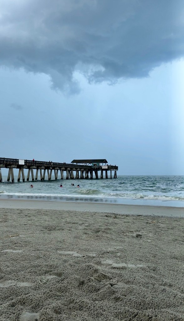 Savannah, Georgia things to do, by travel blogger Wandering the Gap