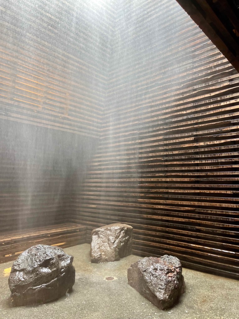 Sky Lagoon or Blue Lagoon, by travel blogger Wandering the Gap