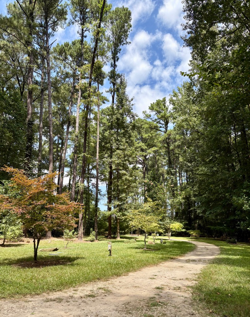 Things to do in Fayetteville, NC, by travel blogger Wandering the Gap