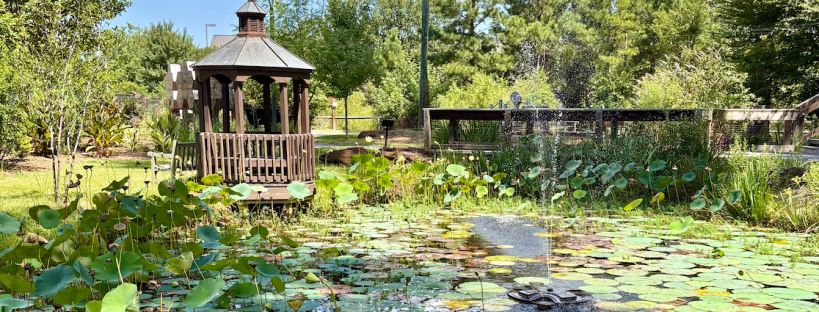 Things to do in Fayetteville, NC, by travel blogger Wandering the Gap