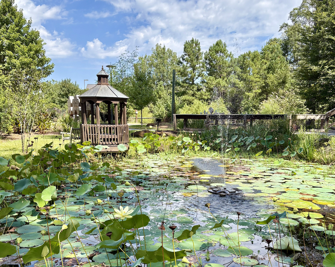 Cape Fear Botanical Garden | Things to Do in Fayetteville,&nbsp;NC