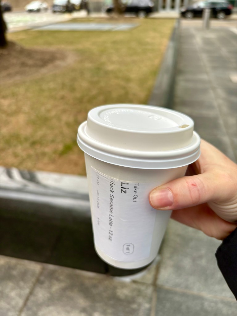 Boston travel guide, by travel blogger Wandering the Gap