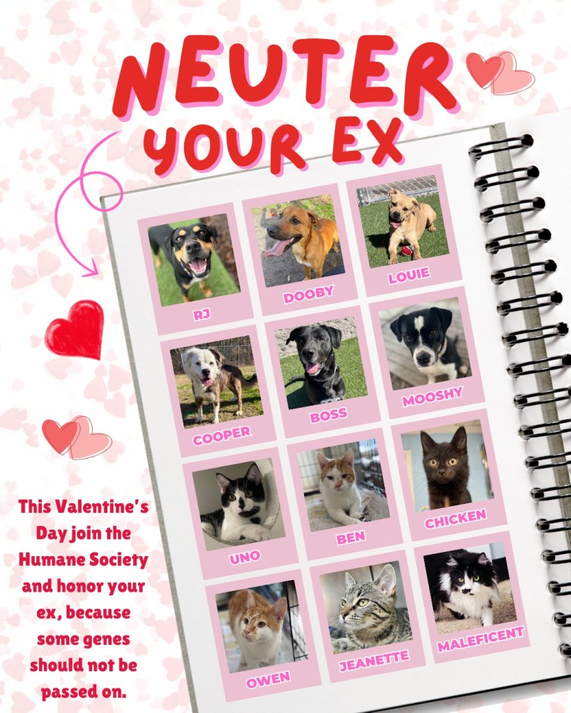 Valentine's Day gift ideas, by lifestyle blogger Wandering the Gap