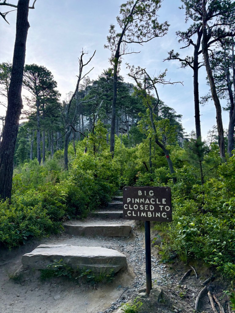 Grindstone, Ledge Spring, and Pilot Knob Trail Loop, by travel blogger Wandering the Gap