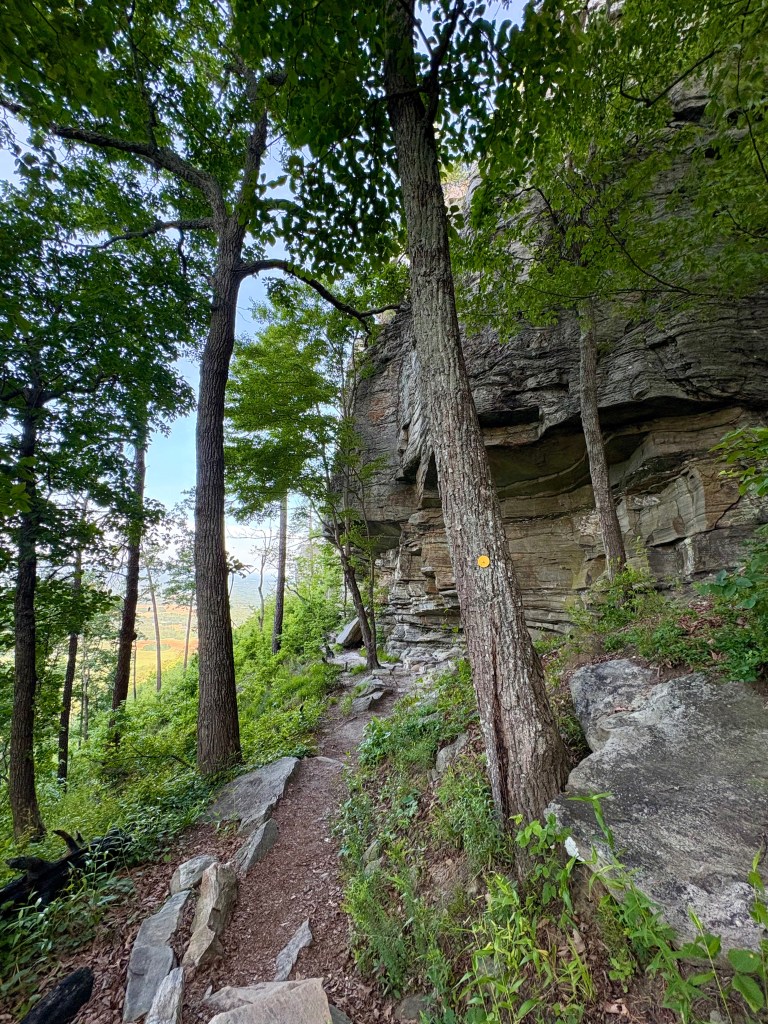 Grindstone, Ledge Spring, and Pilot Knob Trail Loop, by travel blogger Wandering the Gap