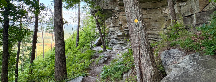 Grindstone, Ledge Spring, and Pilot Knob Trail Loop, by travel blogger Wandering the Gap