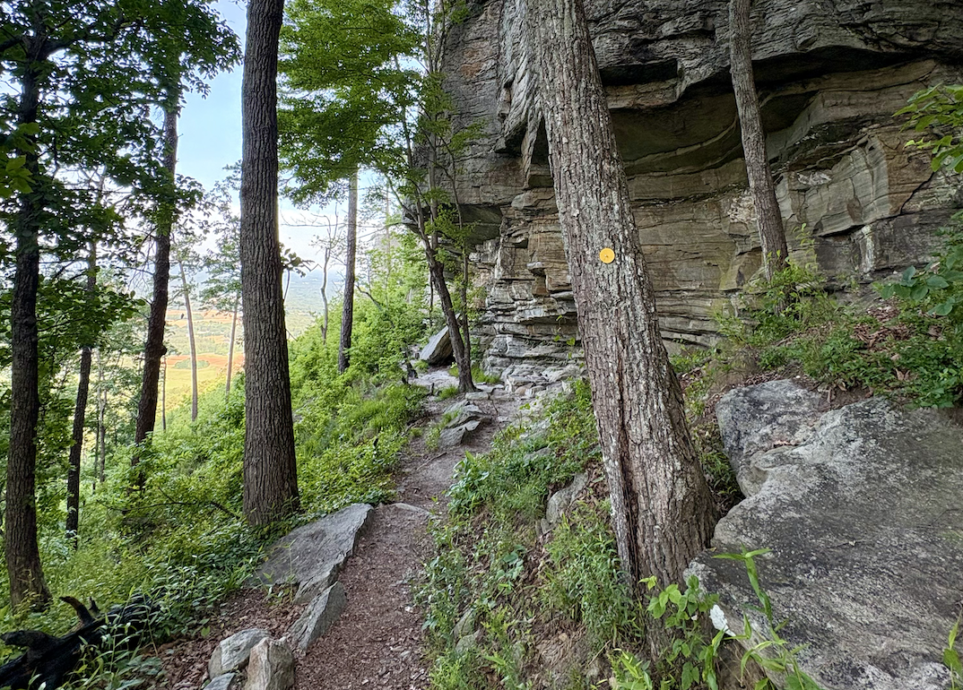 Grindstone, Ledge Spring, and Pilot Knob Trail Loop | Pilot Mountain State Park | North Carolina Hiking&nbsp;Guide